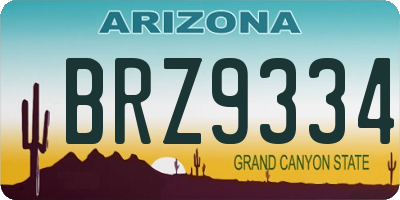 AZ license plate BRZ9334