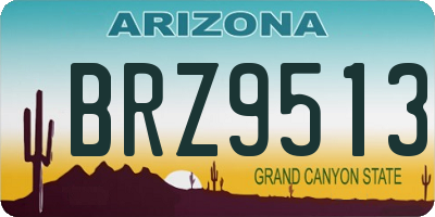 AZ license plate BRZ9513