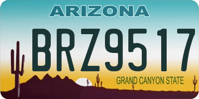 AZ license plate BRZ9517