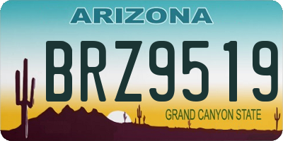 AZ license plate BRZ9519