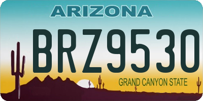 AZ license plate BRZ9530