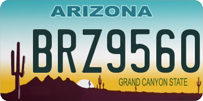 AZ license plate BRZ9560