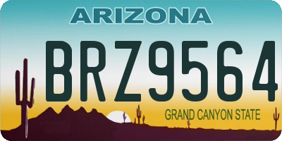 AZ license plate BRZ9564