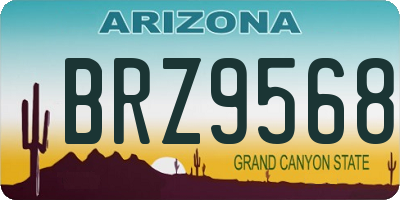 AZ license plate BRZ9568