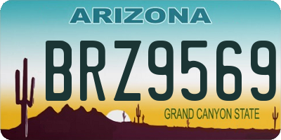 AZ license plate BRZ9569