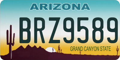 AZ license plate BRZ9589