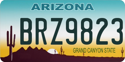 AZ license plate BRZ9823