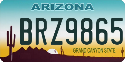 AZ license plate BRZ9865