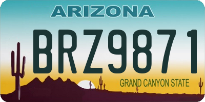 AZ license plate BRZ9871