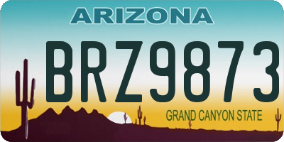 AZ license plate BRZ9873