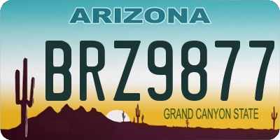 AZ license plate BRZ9877