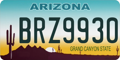 AZ license plate BRZ9930