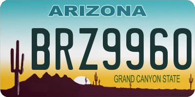 AZ license plate BRZ9960
