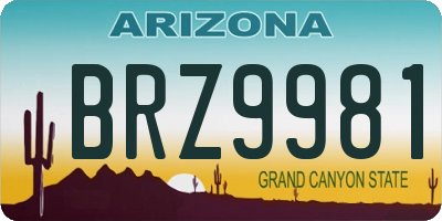 AZ license plate BRZ9981