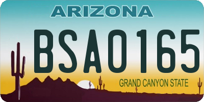 AZ license plate BSA0165