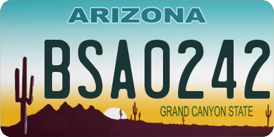 AZ license plate BSA0242