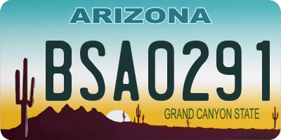 AZ license plate BSA0291