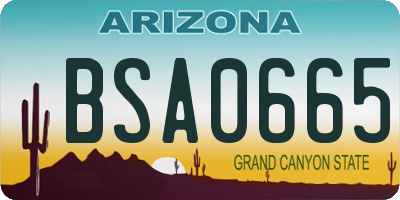 AZ license plate BSA0665