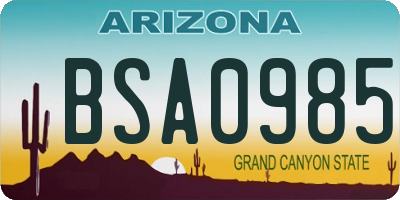 AZ license plate BSA0985