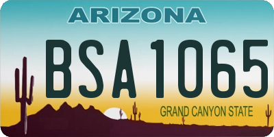 AZ license plate BSA1065