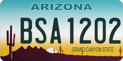 AZ license plate BSA1202