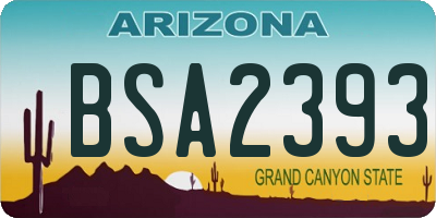 AZ license plate BSA2393