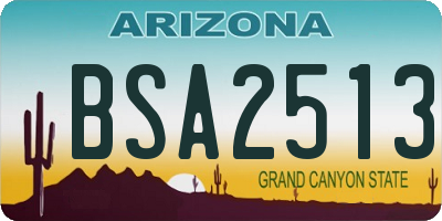 AZ license plate BSA2513