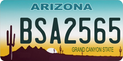 AZ license plate BSA2565
