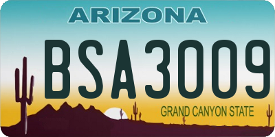 AZ license plate BSA3009