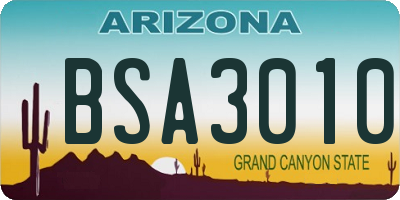 AZ license plate BSA3010