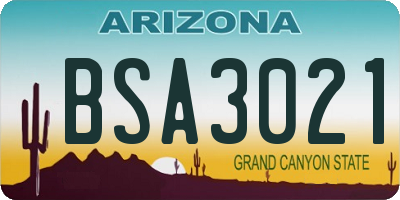 AZ license plate BSA3021