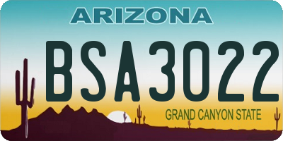 AZ license plate BSA3022