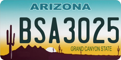 AZ license plate BSA3025