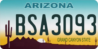 AZ license plate BSA3093