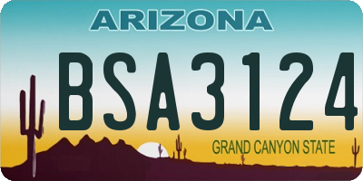 AZ license plate BSA3124