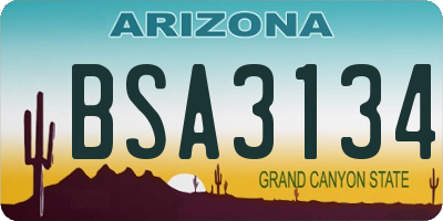 AZ license plate BSA3134