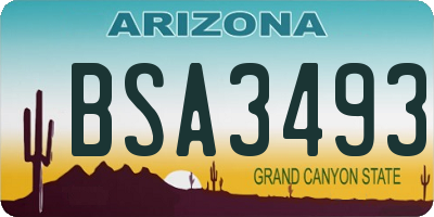 AZ license plate BSA3493