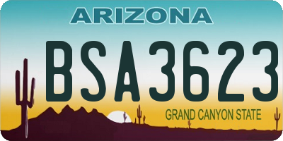 AZ license plate BSA3623