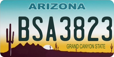 AZ license plate BSA3823