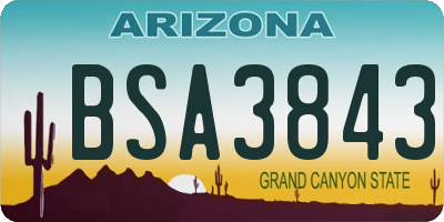 AZ license plate BSA3843