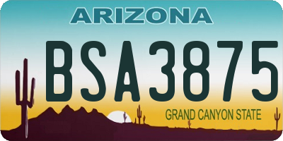 AZ license plate BSA3875