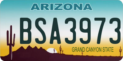 AZ license plate BSA3973