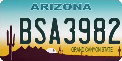 AZ license plate BSA3982