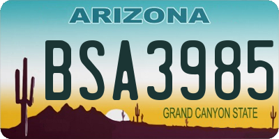 AZ license plate BSA3985