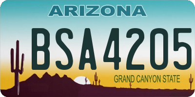 AZ license plate BSA4205