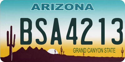 AZ license plate BSA4213