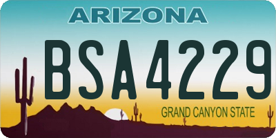 AZ license plate BSA4229