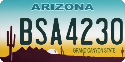 AZ license plate BSA4230