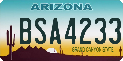 AZ license plate BSA4233