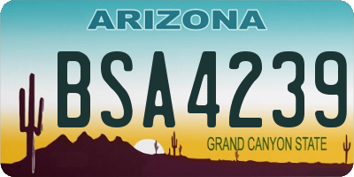 AZ license plate BSA4239